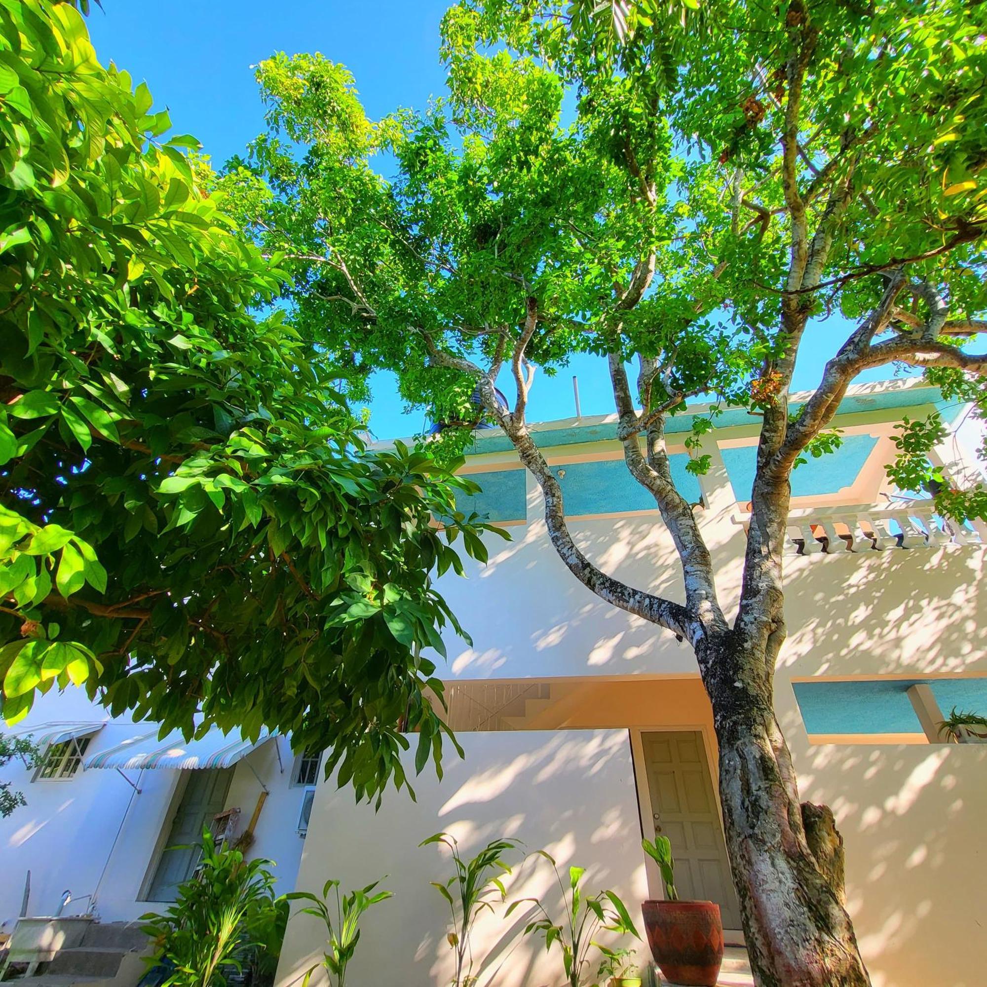 Green'S Palace Jamaica Oracabessa ภายนอก รูปภาพ
